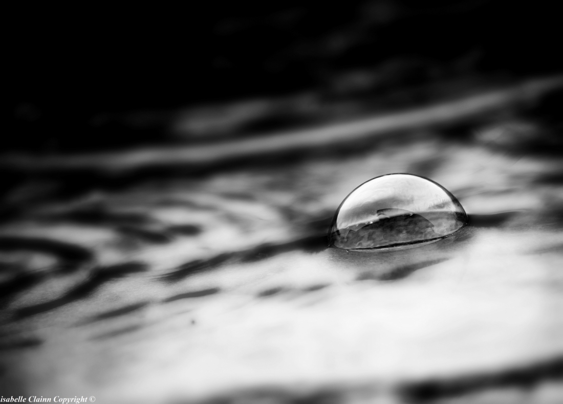 la bulle forumdephotos.jpg