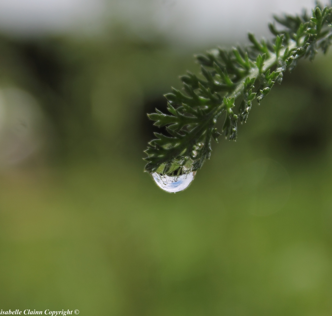 Ciel bleu dans la goutte d'eau forumdephotos.JPG