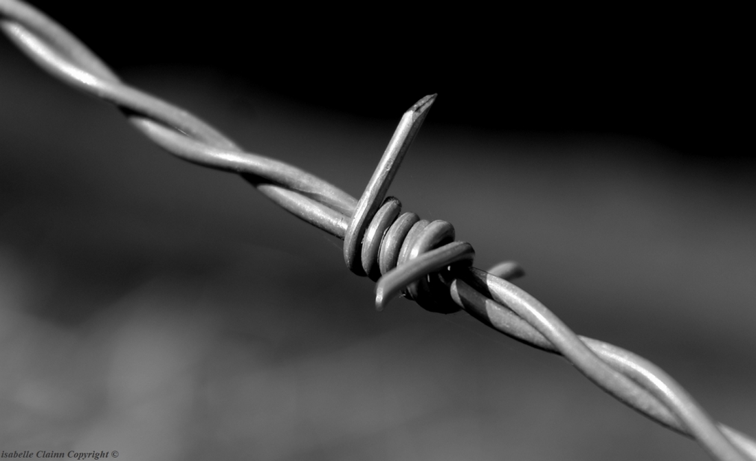 Barbelé en noir et blancf2p.JPG