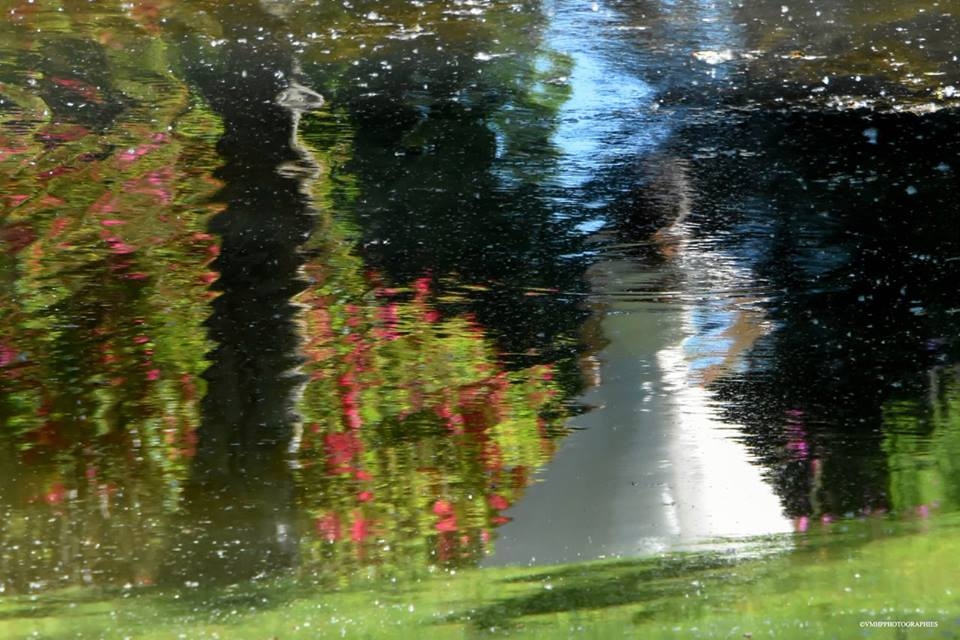 Légende des Marie Morgane.jpg