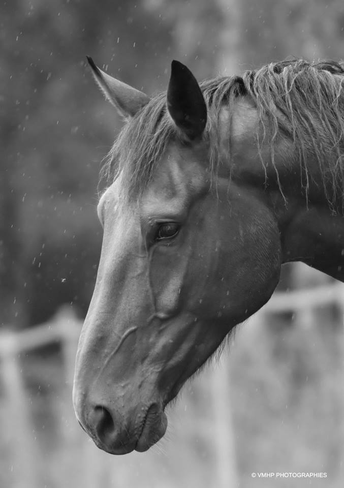 seul sous la pluie.jpg