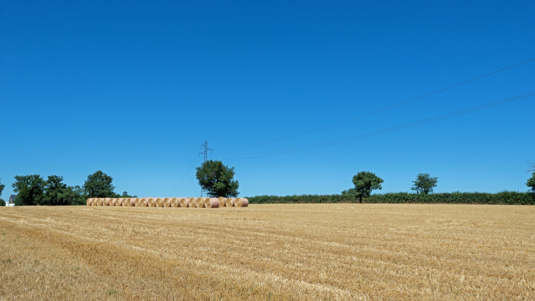 les balles & la ligne electrique.jpg