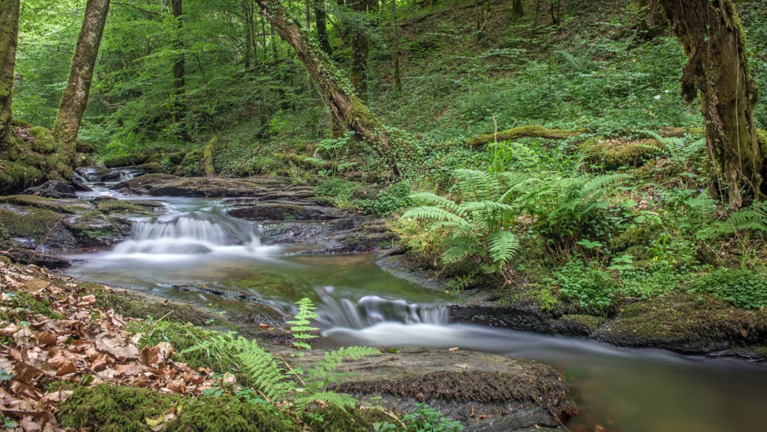 ruisseau de montrou (4).jpg