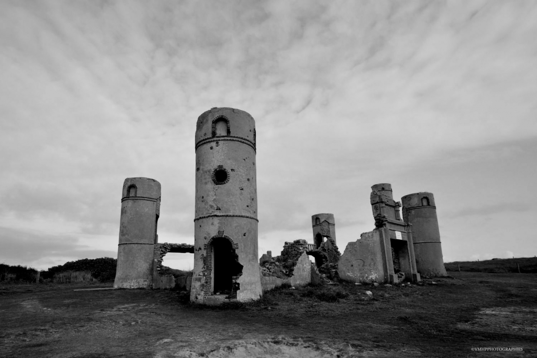 DSC_0705.jpg