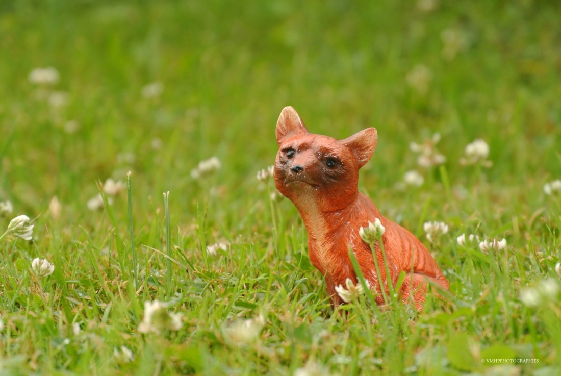 DSC_3471.jpg