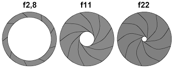 diaphragme.jpg.ebab53d3004c2e2424097d02cf11fcfe.jpg