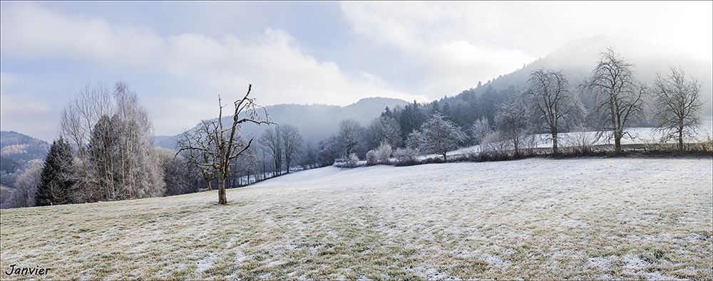 janvier.thumb.jpg.59c93a79896ae8485bab3bb2984508b7.jpg