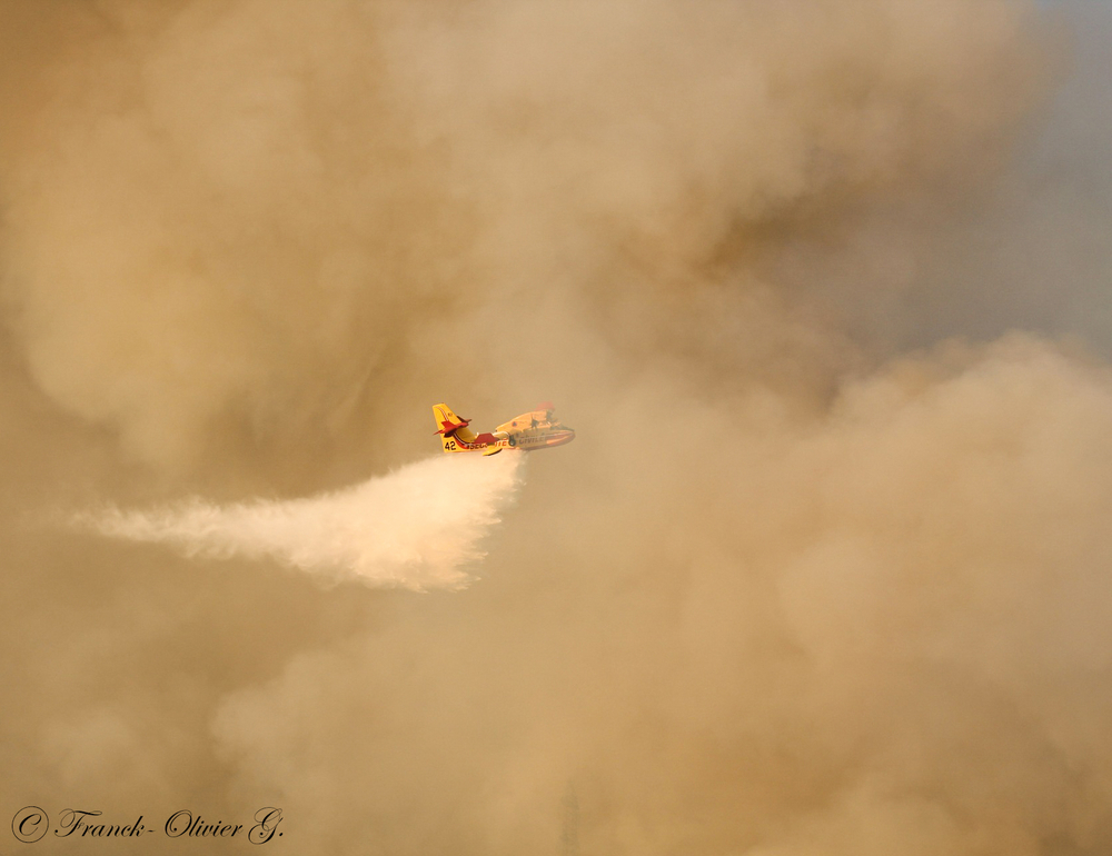 Canadair CL-215 en plein largage
