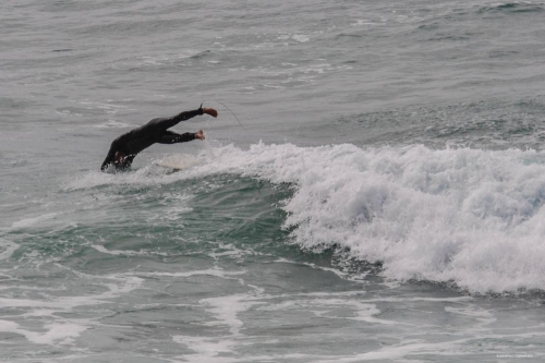 PLONGEON DU SURFEUR.jpg