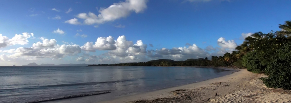 Salines30Dec2014_1Yvon (3).jpg