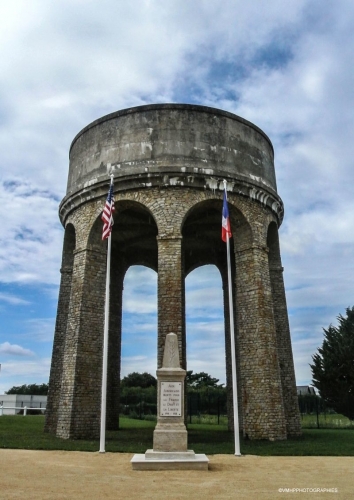 DSC_4553.jpg