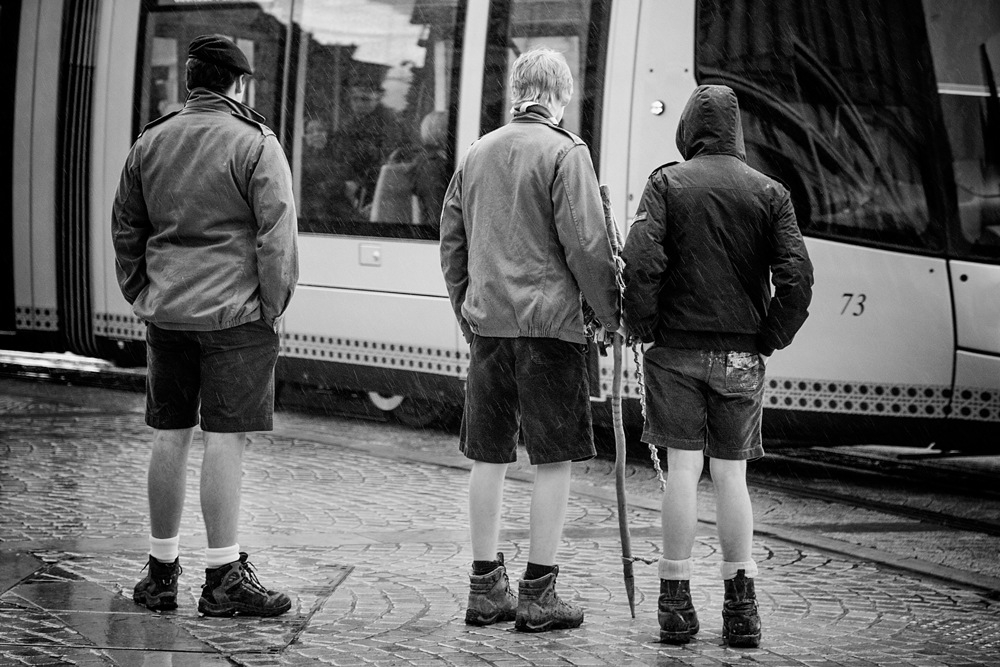 Croisement des genres