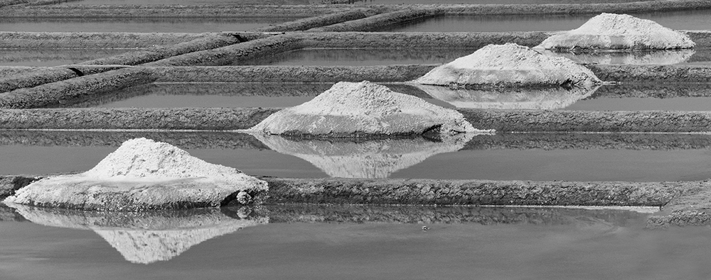 Marais salant à Guérande
