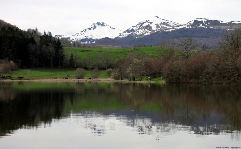 59b0e42563b00_008cantal2P.thumb.jpg.05af310ad7eae99a89087e8c686365d9.jpg