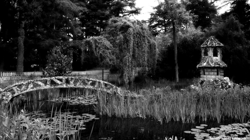 le parc.jpg