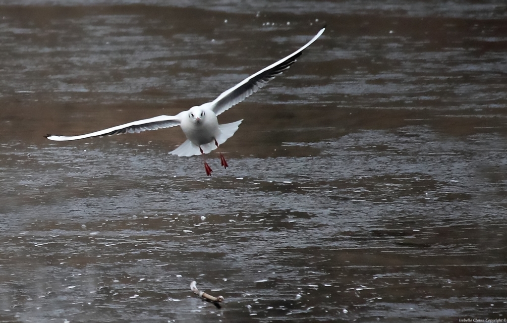 220116 l - Copie copy.jpg