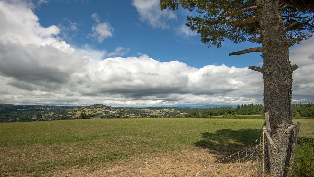 panorama roc de Peyre & l'arbre.jpg