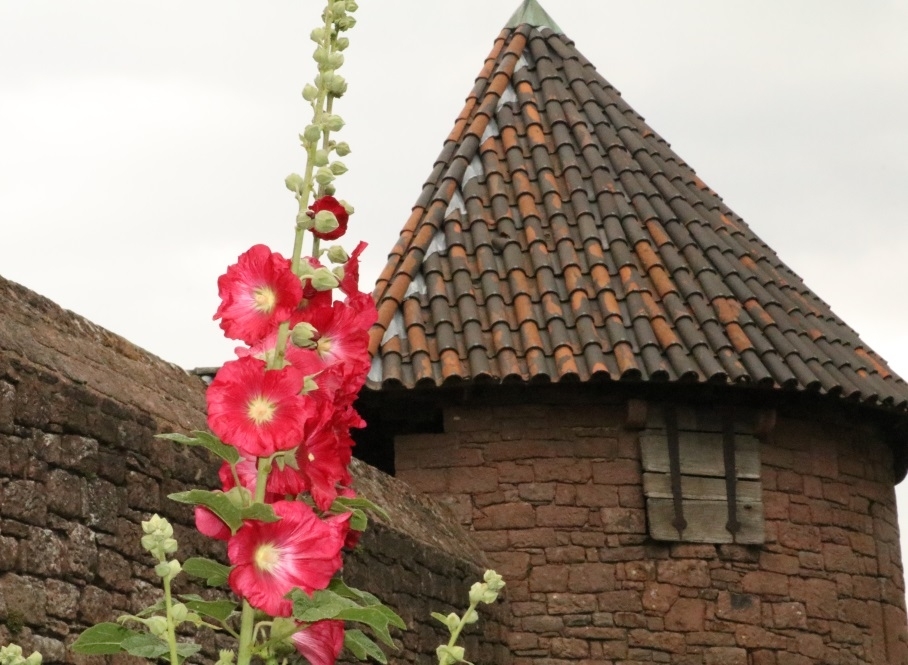 fleur chateau.jpg