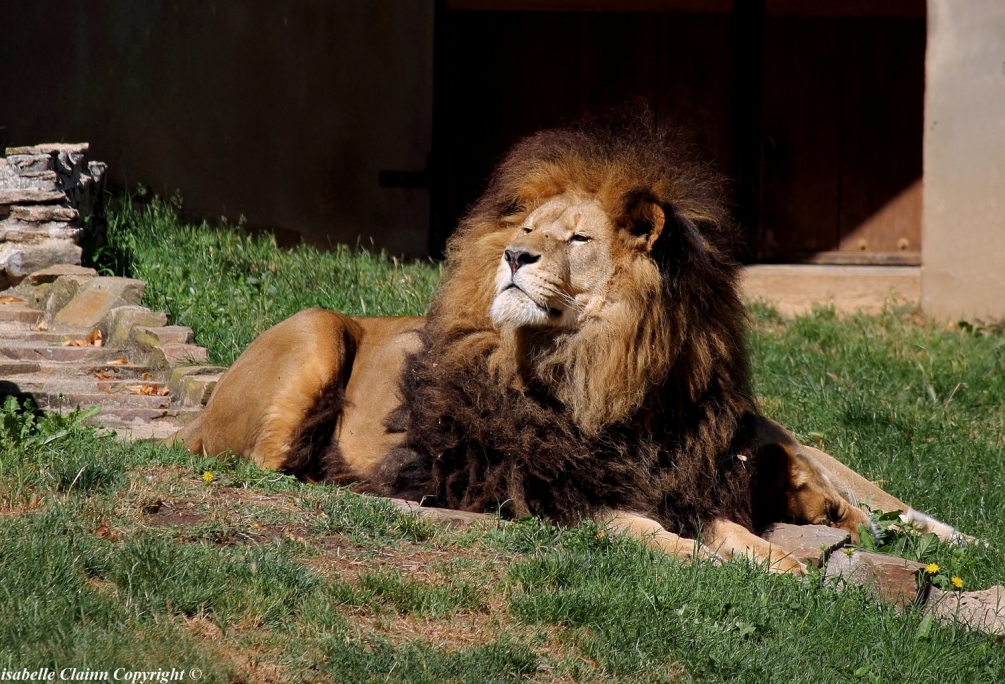 saint martin la plaine 5.JPG