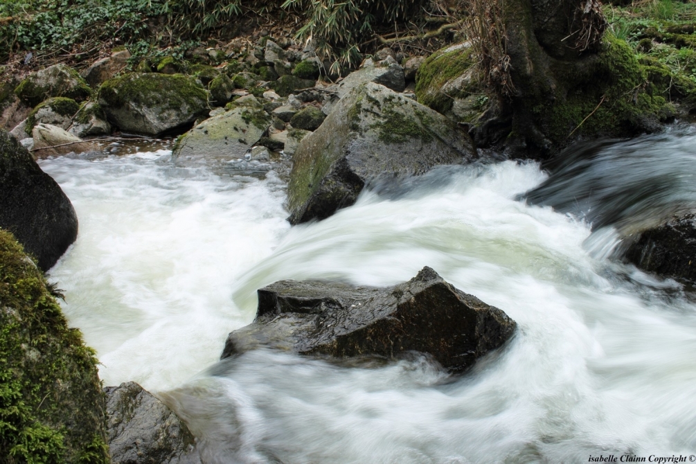 Rochers et eau 3.JPG