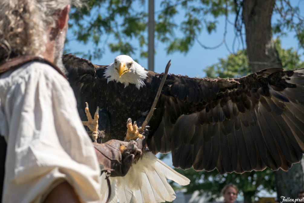 DSC_0321.jpg