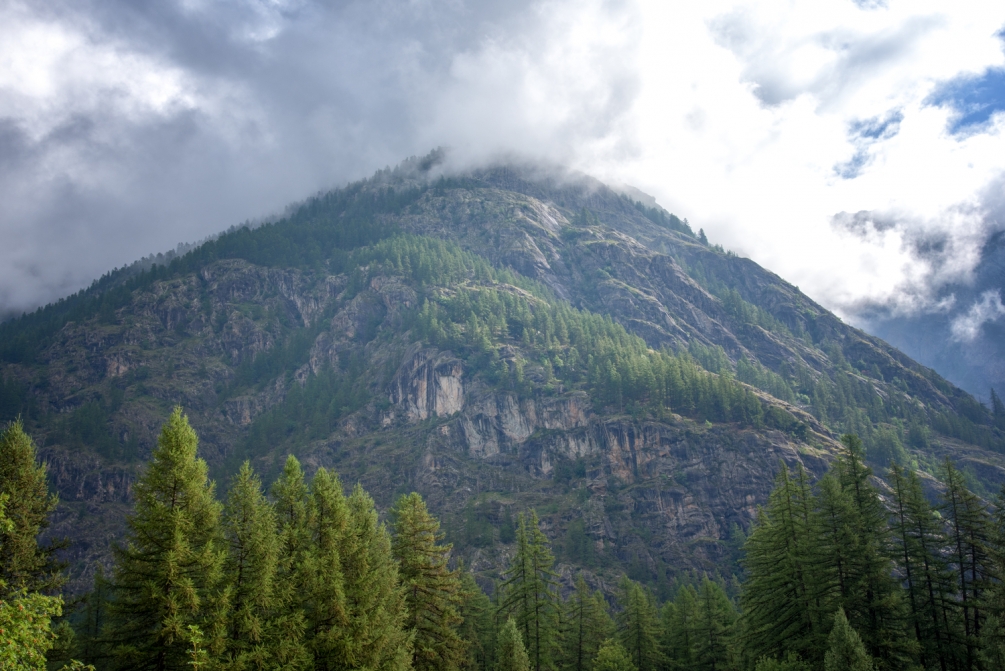 DSC_7327-Modifier.jpg