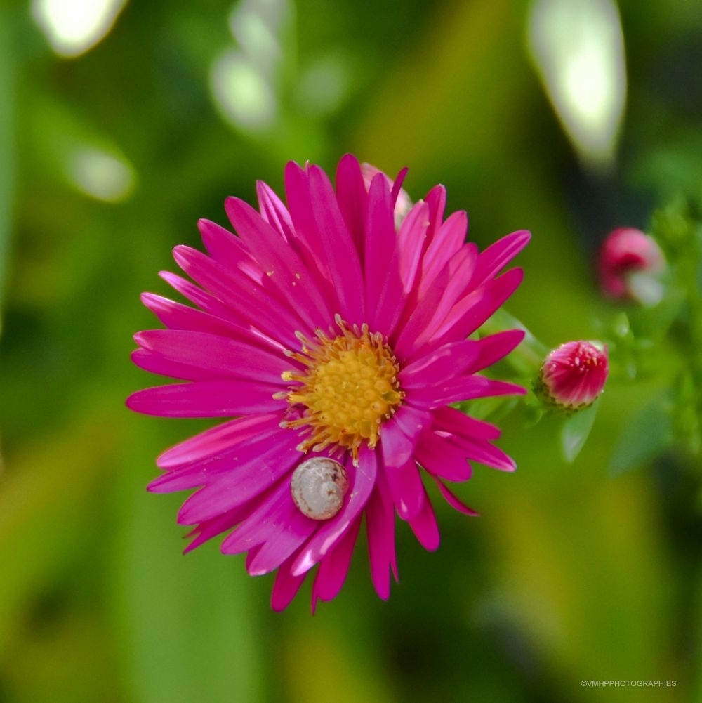 DSC_9329.JPG