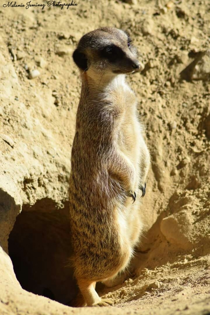 WaterMark_2017-09-13-01-05-04.jpg