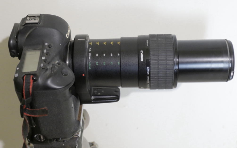 MPE 65 mm.JPG