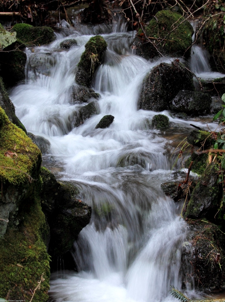 Cascade Planfoy A.JPG