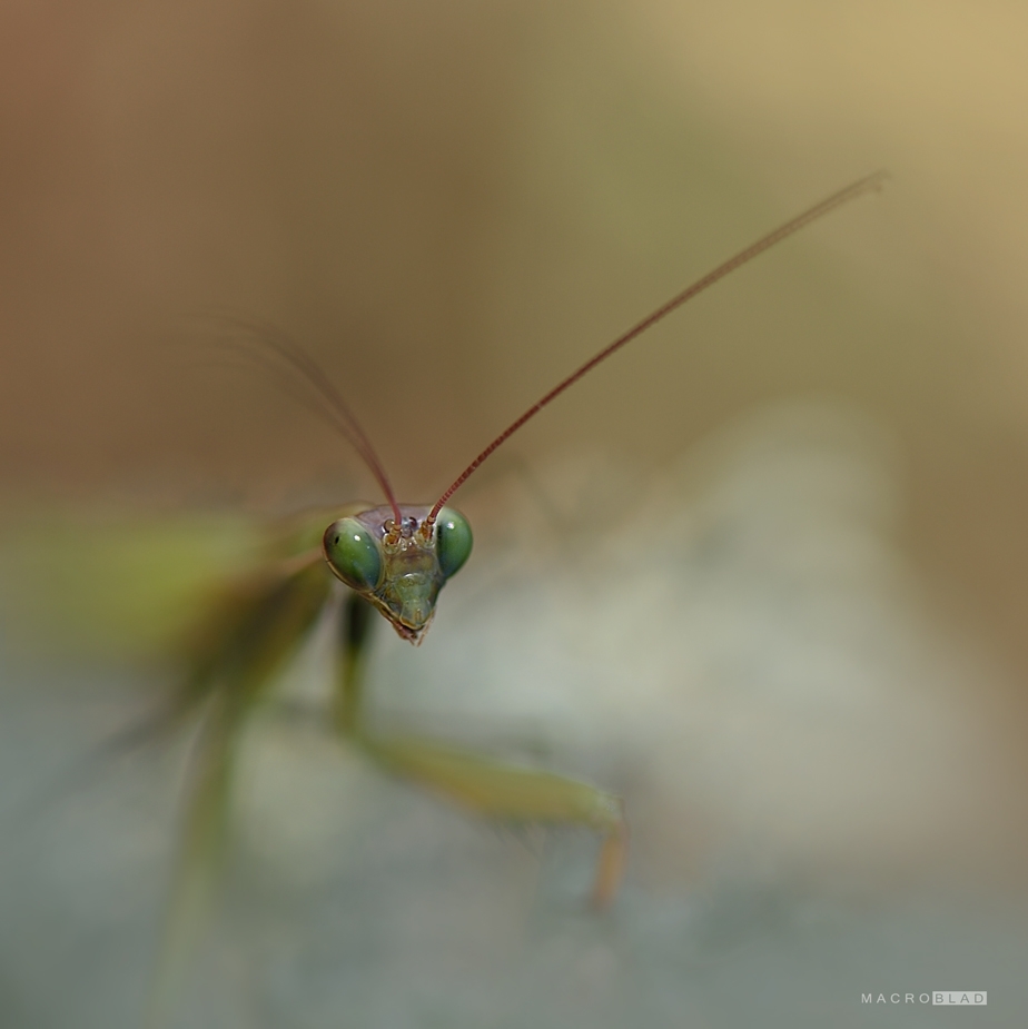 DSC_1676 a.jpg