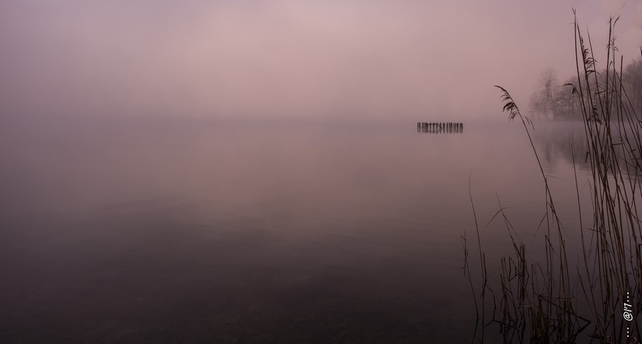59de715c41e2e_brume023-1(Copier).JPG.7b30bca89eeb01c1e7ba9255c3a37646.JPG