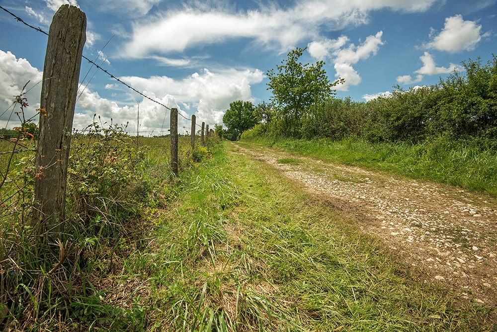 chemin (4).jpg
