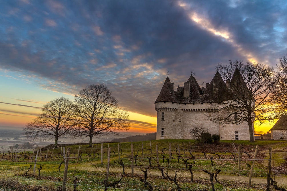 59dfb5ead2c8c_0020-OV-Monbazillacleverdesoleil.thumb.jpg.510e9796c1465558f0a81b46d5e7f94e.jpg