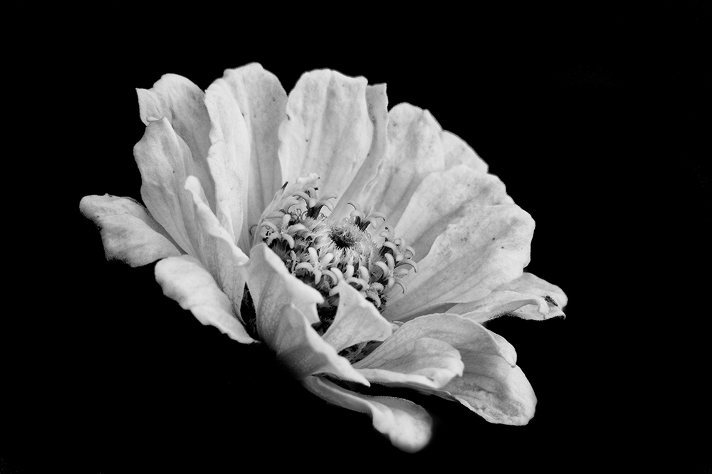 IMG_0146-Modifier.jpg