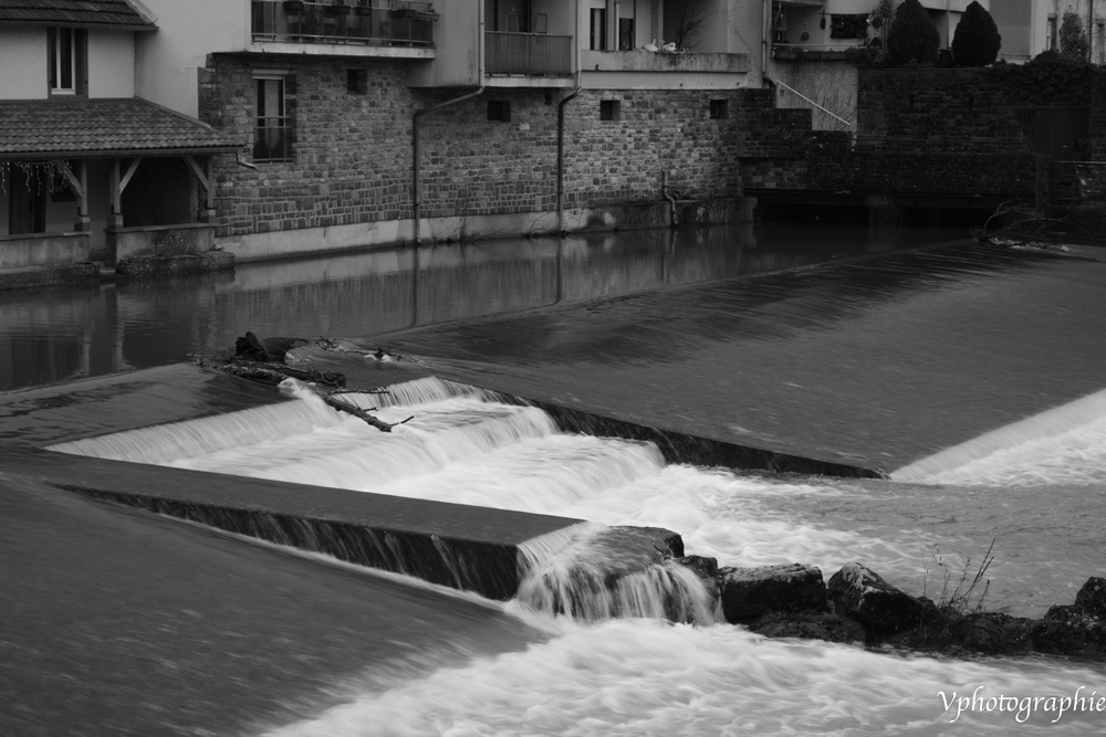 DSC_1281.jpg.022c96f8f92e365494d1519947f35410.jpg