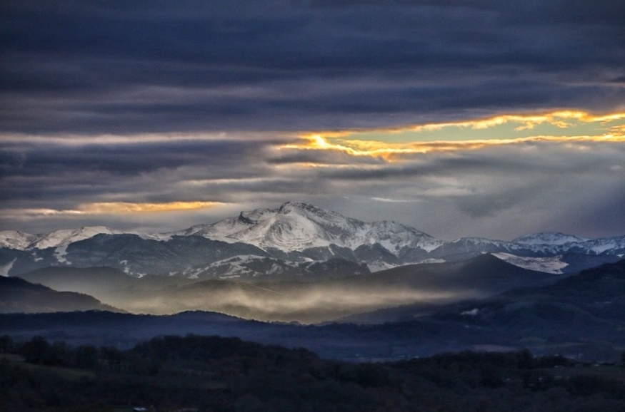 IMG_7647_nik.jpg.03cc90aa01a132fe236043c9fc5fb247.jpg