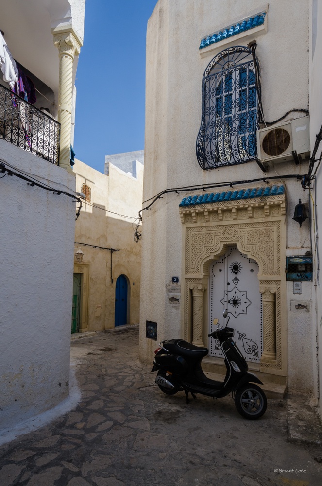 _DSC9976.JPG.f9d6d84f5fa7eaabaa35539f58001dbc.JPG