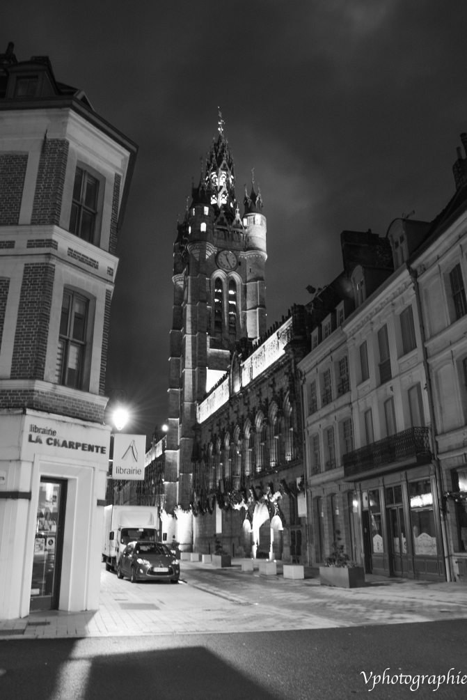 DSC_2086.jpg