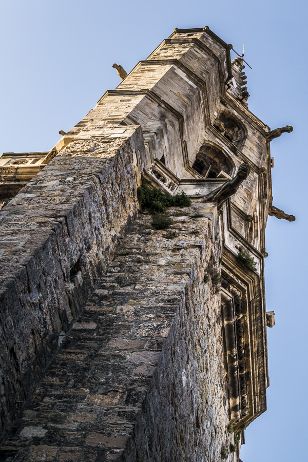 Limoux , le clocher de la cathédrale