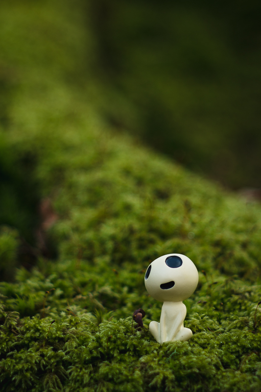 test1.jpg.1b44204636c6951bc74a65f11bc8d54c.jpg