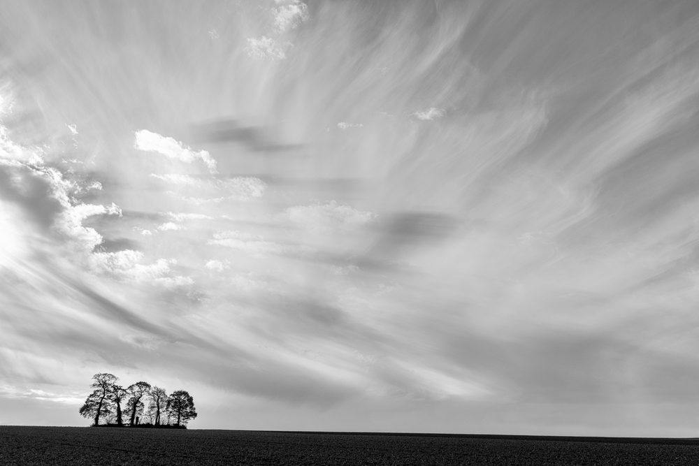 IMG_2348-Modifier.jpg