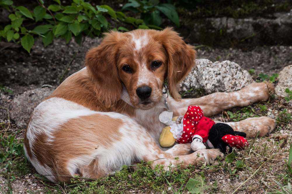 _DSC3943.jpg.b9f05266d59176f4e39001de7a4cac7d.jpg