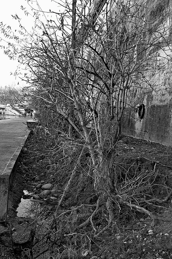 P1010058_VHA_DxO_lzn.jpg