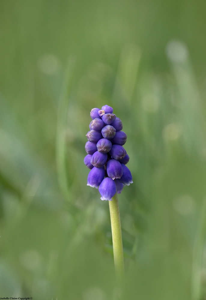 IMG_9624 fp.jpg
