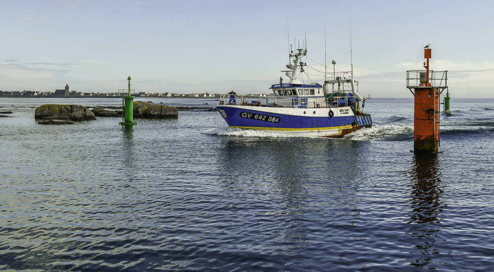 29052018-_DSC0710-1.jpg.72faef14a19c0b36b052441d6492b477.jpg