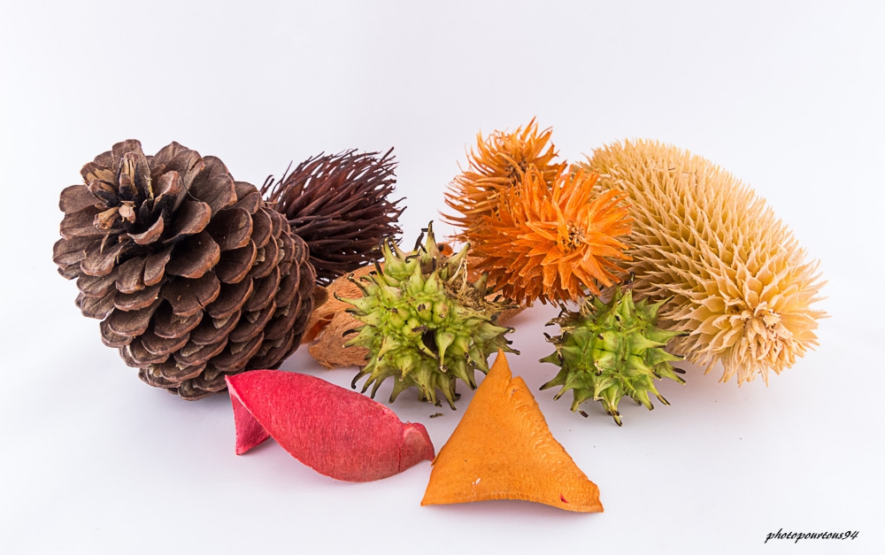54821476_naturemorte(1).jpg.455bb79b625431201c42c2148adeab7d.jpg