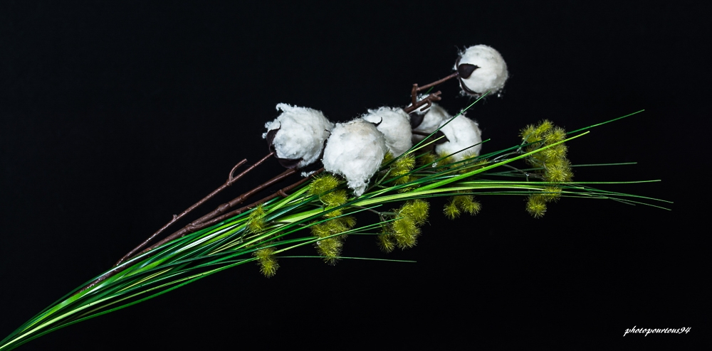 60884435_naturemorte(3).jpg.f44805e22f01d89f2ea348c7ad497aee.jpg
