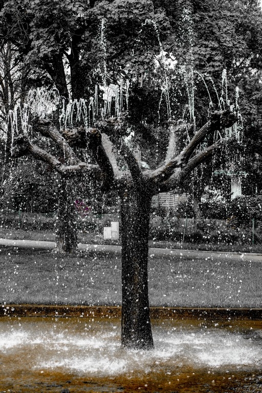 899658598_P1100153-Modifier-2(Copier).jpg.b8f0e41658bba99a93e0d525db03c147.jpg