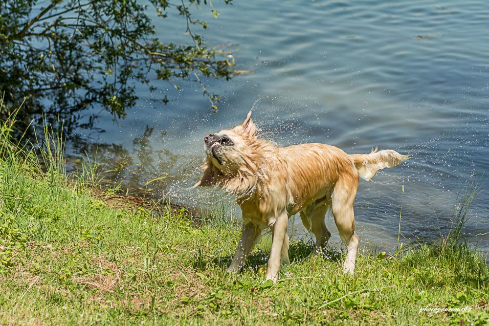 _-4.jpg.3f06fa133decb84ff45415c12b668601.jpg